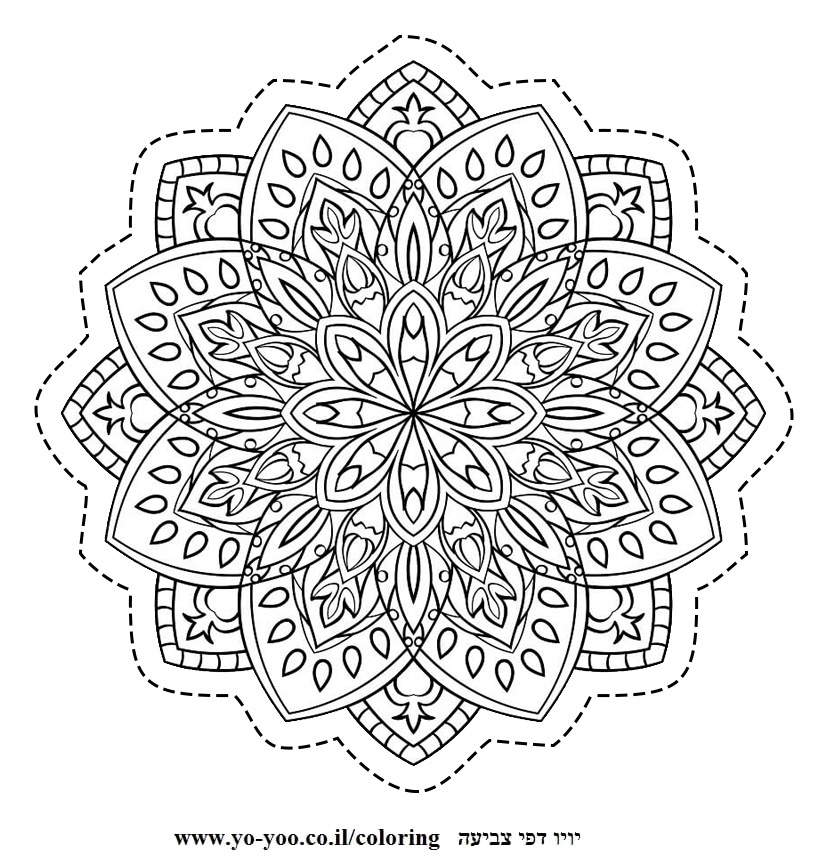 �� ����� ����� - �� ����� ������ �� ������ ����