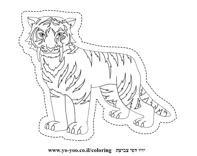 �� ����� ��� - �� ����� ������ �� ������ ����