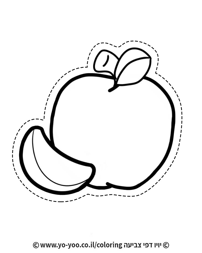 �� ����� ���� ���� - �� ����� ������ �� ������ ����