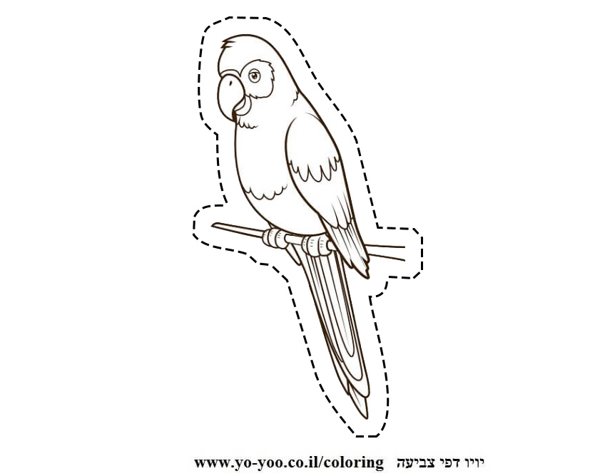 �� ����� ���� - �� ����� ������ �� ������ ����