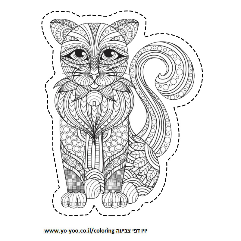 �� ����� ����� ���� - �� ����� ������ �� ������ ����