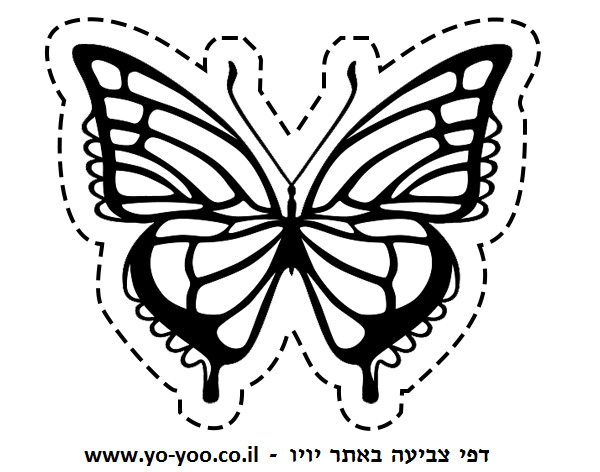 �� ����� ���� ��� - �� ����� ������ �� ������ ����