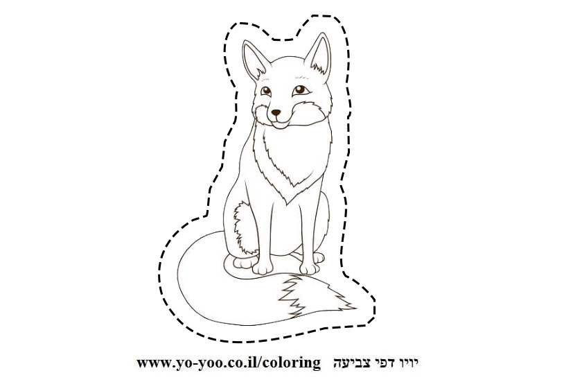 �� ����� ���� - �� ����� ������ �� ������ ����