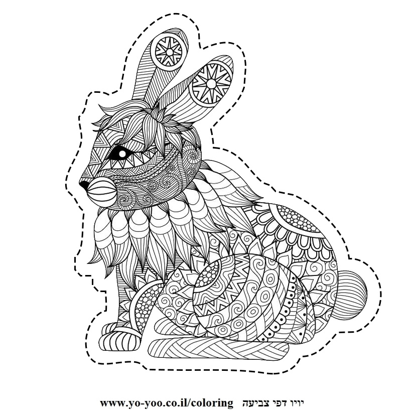 �� ����� ����� ���� - �� ����� ������ �� ������ ����