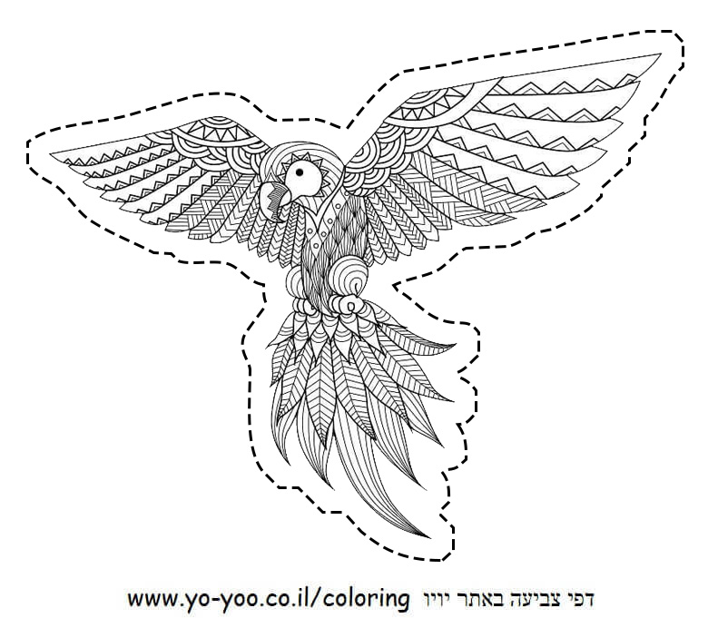 �� ����� ����� ���� - �� ����� ������ �� ������ ����