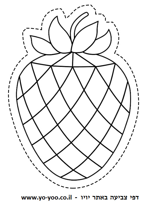 �� ����� ���� - �� ����� ������ �� ������ ����