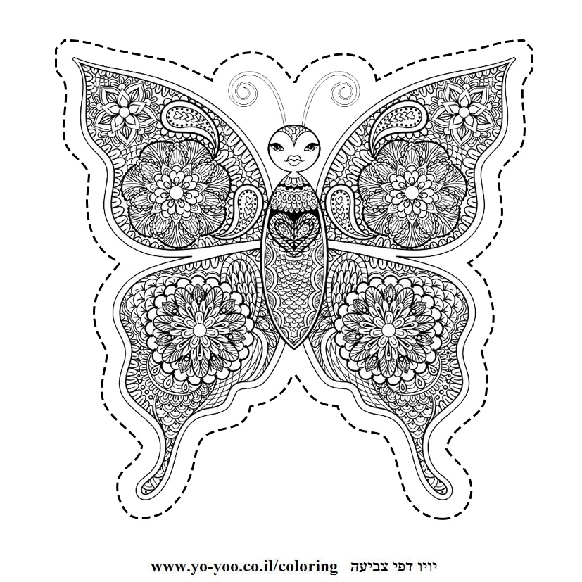 �� ����� ����� ���� - �� ����� ������ �� ������ ����