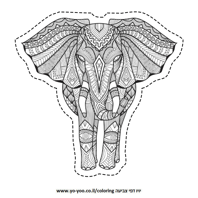 �� ����� ����� ��� - �� ����� ������ �� ������ ����