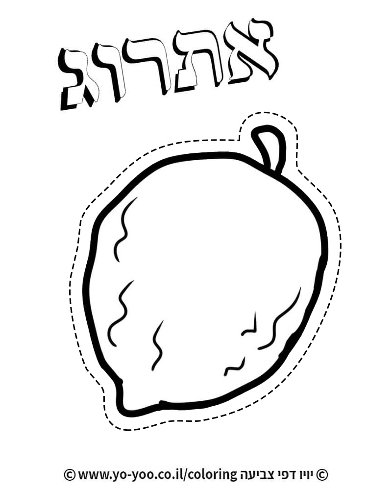 �� ����� ����� - �� ����� ������ �� ������ ����