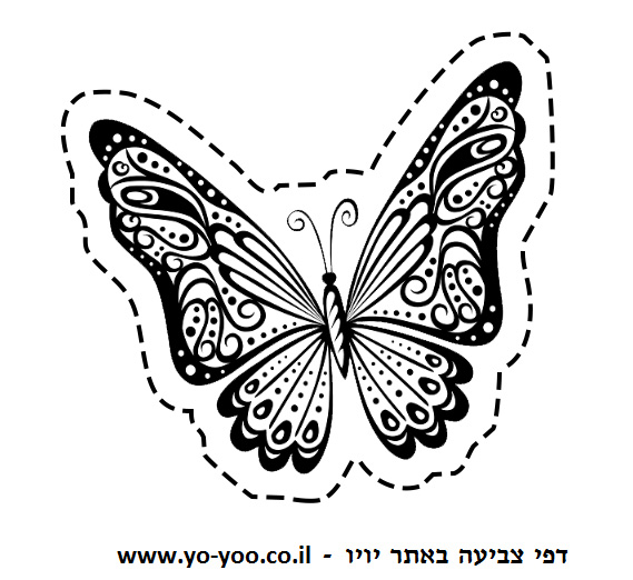 �� ����� ���� ��� - �� ����� ������ �� ������ ����