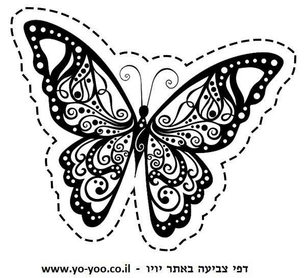 �� ����� ������ - �� ����� ������ �� ������ ����