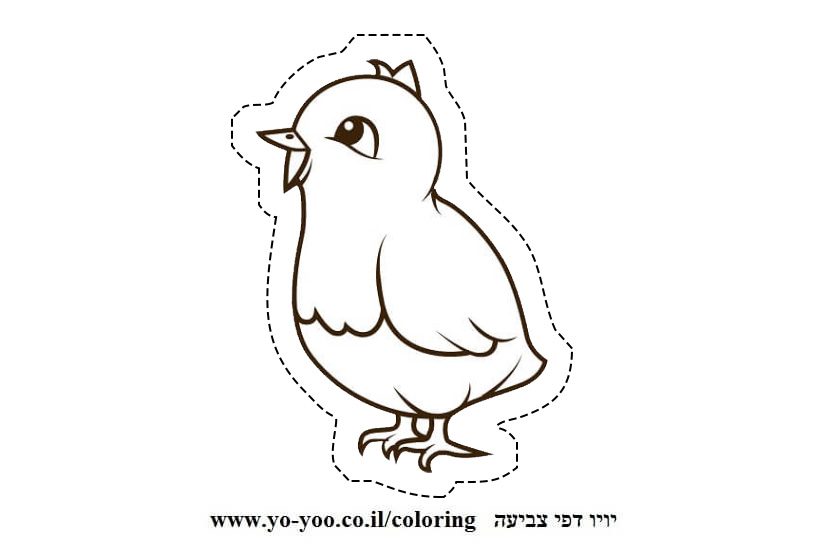 �� ����� ����� - �� ����� ������ �� ������ ����