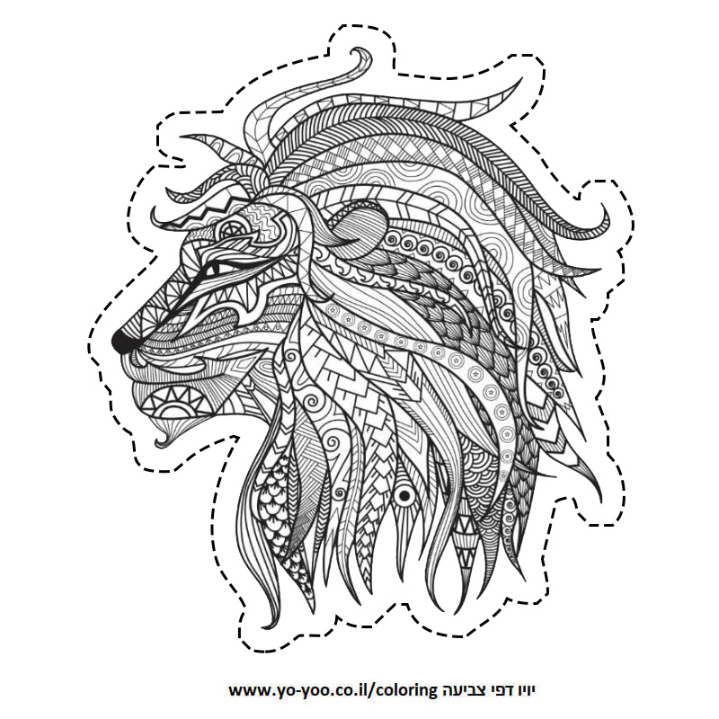 �� ����� ����� ���� - �� ����� ������ �� ������ ����