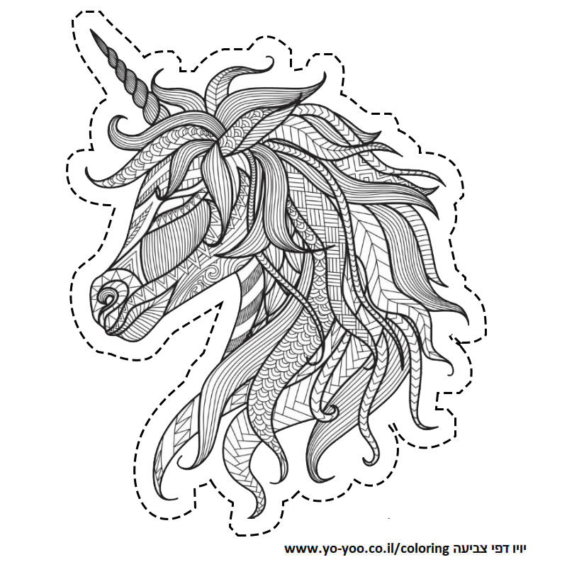 �� ����� ����� �� ��� - �� ����� ������ �� ������ ����