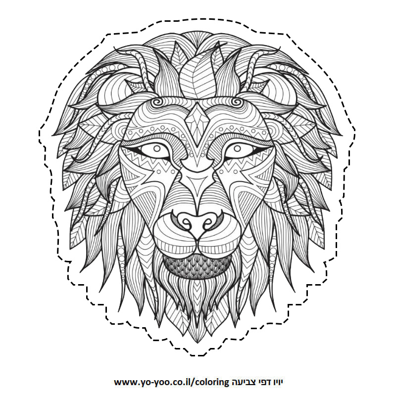 �� ����� ����� ���� �� ���� - �� ����� ������ �� ������ ����