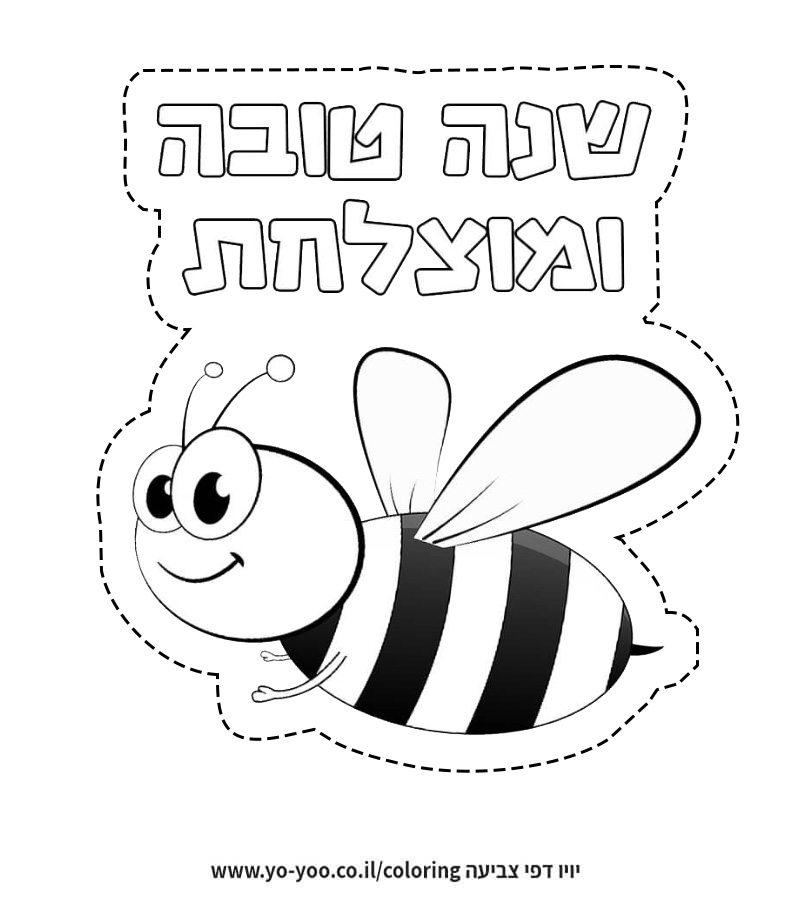 �� ����� ���� ���� - �� ����� ������ �� ������ ����