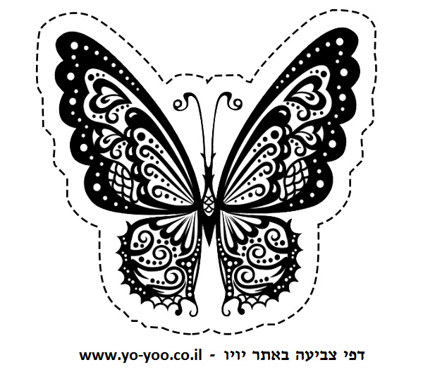 �� ����� ���� ����� - �� ����� ������ �� ������ ����