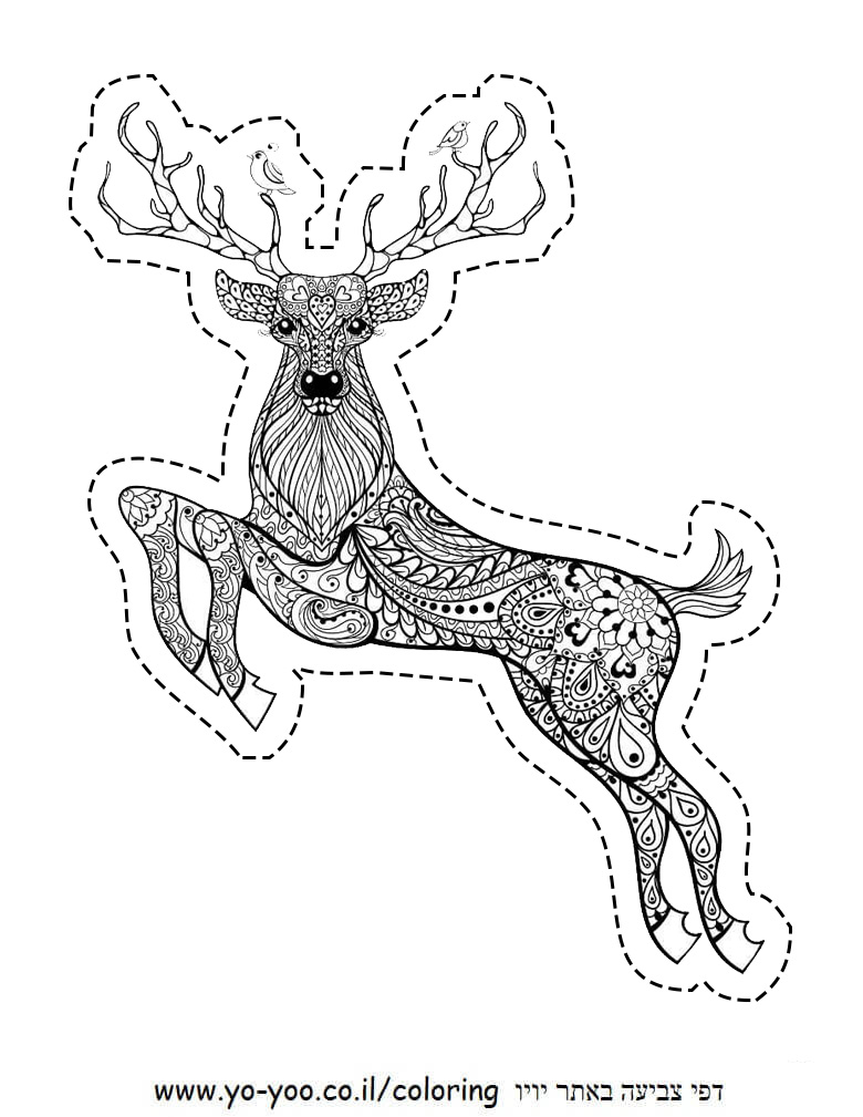 �� ����� ����� ��� - �� ����� ������ �� ������ ����