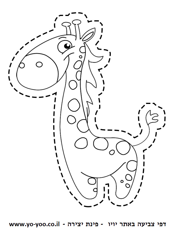 �� ����� �'���� ����� - �� ����� ������ �� ������ ����