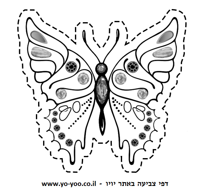 �� ����� ���� - �� ����� ������ �� ������ ����