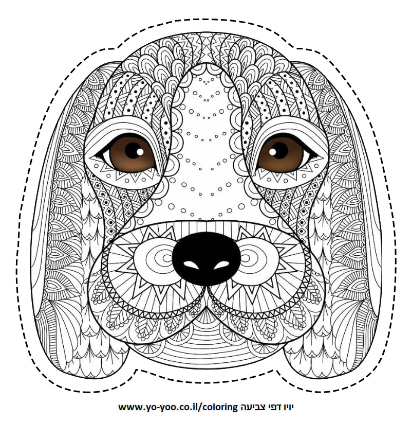 �� ����� ����� ��� - �� ����� ������ �� ������ ����