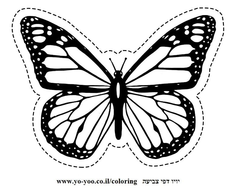 �� ����� ���� ��� - �� ����� ������ �� ������ ����