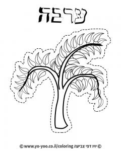 �� ����� ����