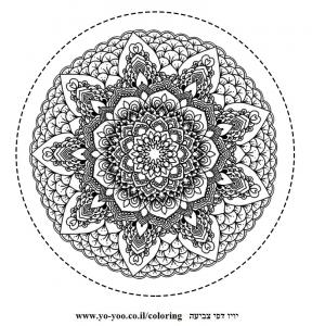 �� ����� ����� �����