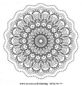 �� ����� ����� �������