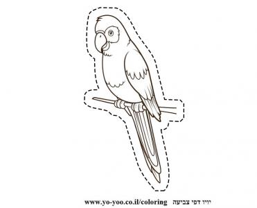 �� ����� ����