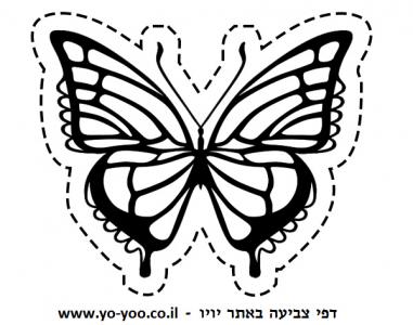 �� ����� ���� ���