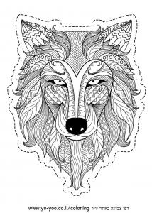 �� ����� ����� ��� ���