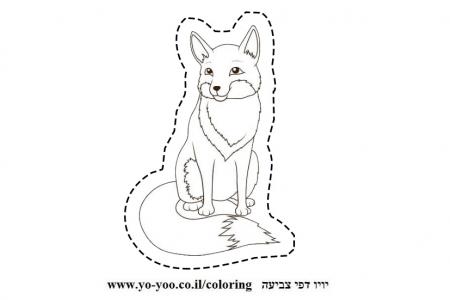 �� ����� ����