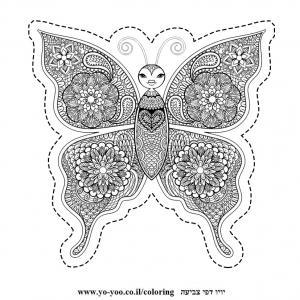 �� ����� ����� ����