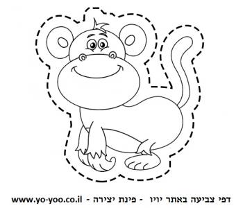 �� ����� ���