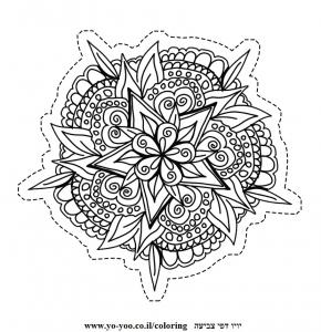 �� ����� ����� ���