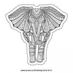 �� ����� ����� ���