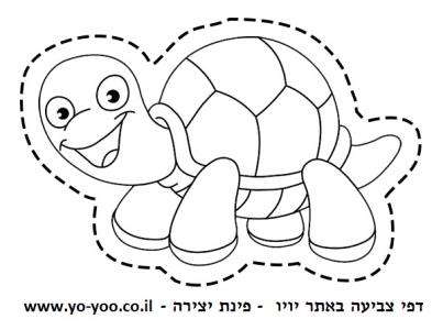 �� ����� ��