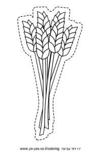 �� ����� �����