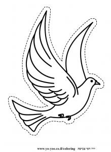 �� ����� ����