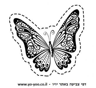 �� ����� ���� ���