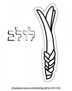 �� ����� ����