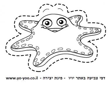 �� ����� ���� ��