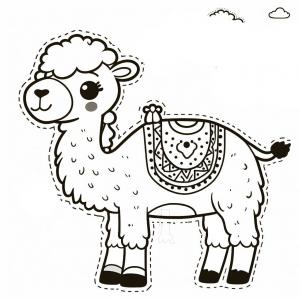 �� ����� ���