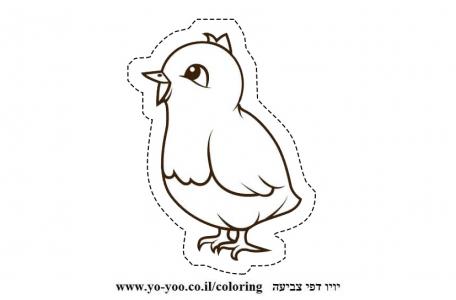 �� ����� �����