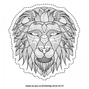 �� ����� ����� ���� �� ����