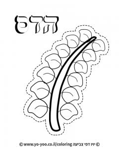 �� ����� ���