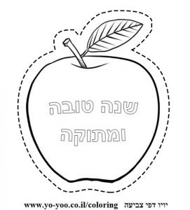 �� ����� ��� ���� ������