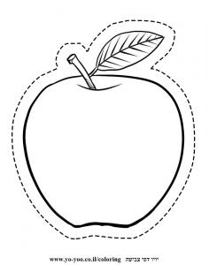 �� ����� ����