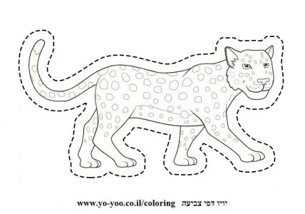 �� ����� ��� �����